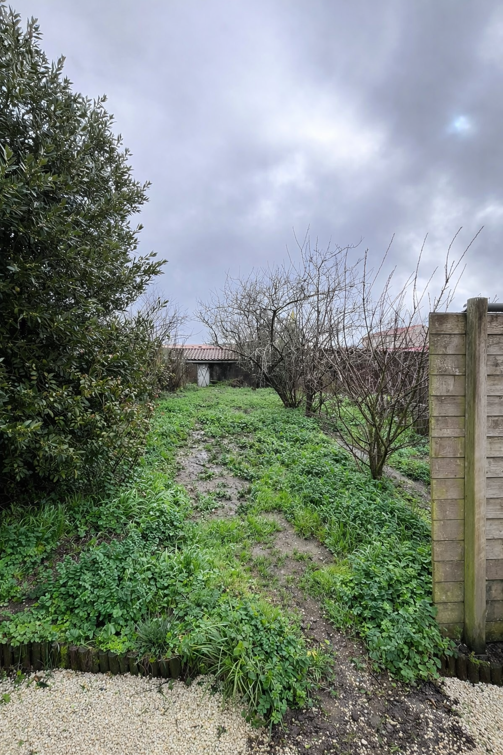 Jardin verdoyant